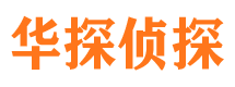 濠江侦探